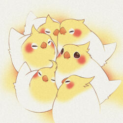 animal_focus beak bird brown_eyes closed_eyes cockatiel commentary_request era_(traveling_bird) heads_together no_humans original outline white_background yellow_outline