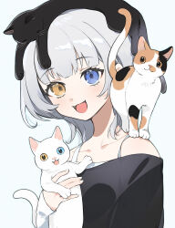 1girl :3 animal animal_on_head animal_on_shoulder bang_dream! bang_dream!_it&#039;s_mygo!!!!! black_shirt blue_eyes cat cat_on_head cat_on_shoulder commentary fangs heterochromia highres holding holding_animal holding_cat kaname_raana layered_sleeves long_sleeves looking_at_viewer on_head open_mouth raana_the_cat shirt short_hair short_over_long_sleeves short_sleeves simple_background solo white_background white_hair yayako_(804907150) yellow_eyes