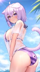 1girl :3 absurdres animal_ear_fluff animal_ears ass bikini bikini_under_clothes blue_sky blush breasts cat_ears cat_girl cat_tail closed_mouth cloud cowboy_shot day deaver food_print from_side halterneck highres hololive large_breasts looking_at_viewer looking_to_the_side nekomata_okayu no_pants onigiri_print outdoors purple_bikini purple_eyes purple_hair see-through_clothes see-through_shirt shirt short_hair sideboob sky solo strap_gap string_bikini striped_bikini striped_clothes sunlight swimsuit t-shirt tail thighs virtual_youtuber water_drop wet wet_clothes wet_shirt