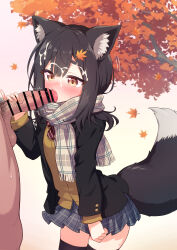 1boy 1girl animal_ears bar_censor black_hair black_jacket black_thighhighs blue_skirt bow bowtie breasts brown_eyes brown_sweater censored commission cum cum_on_body diagonal-striped_bow diagonal-striped_bowtie diagonal-striped_clothes facial fellatio grey_scarf hair_ornament hairclip hetero highres jacket large_variant_set layered_sleeves leaf_hair_ornament long_sleeves male_pubic_hair medium_hair miniskirt oral original penis penis_grab pinky_out plaid_clothes plaid_scarf plaid_skirt pleated_skirt pubic_hair red_bow red_bowtie scarf skeb_commission skirt small_breasts striped_clothes sweater tail testicles thighhighs variant_set wodaex wolf_ears wolf_girl wolf_tail
