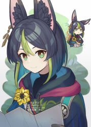 1boy :&lt; animal_ear_fluff animal_ear_piercing animal_ears black_hair black_hoodie blurry blurry_background border bright_pupils brown_eyes bush chibi chibi_inset commentary_request corn_kuten cropped_torso flower forest fox_ears frown genshin_impact gloves green_eyes green_gloves green_hair holding holding_map hood hoodie looking_at_viewer male_focus map multicolored_eyes multicolored_hair nature smile solo streaked_hair tighnari_(genshin_impact) tree two-tone_eyes upper_body white_background white_pupils yellow_flower