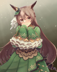 1girl animal_ears blush braid brown_eyes brown_hair double-parted_bangs hair_between_eyes half_up_braid highres horse_ears horse_girl horse_tail ichimai_(apieceof_ray151) long_hair long_sleeves looking_at_viewer multicolored_hair satono_diamond_(umamusume) sleeves_past_fingers sleeves_past_wrists smile solo streaked_hair tail umamusume white_hair