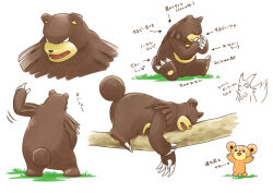 Rule 34 | :d, arms up, arrow (symbol), black eyes, claws, commentary request, evolutionary line, gen 2 pokemon, gen 3 pokemon, grass, hiraisaki, lying, nintendo, on stomach, open mouth, pokemon, pokemon (creature), pokemon focus, sleeping, smile, standing, teddiursa, teeth, translation request, ursaring, white background, zangoose