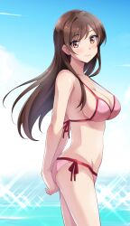 1girl arms_behind_back bikini blue_background breasts brown_eyes brown_hair cleavage closed_mouth commentary_request cowboy_shot halterneck highres hikari_no_oukokumin kanojo_okarishimasu long_hair looking_at_viewer medium_breasts mizuhara_chizuru pink_bikini side-tie_bikini_bottom smile solo standing swimsuit