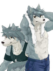 1boy abs animal_ears armband arms_up bara black_tank_top blue_pants collarbone commentary_request denim dog_boy dog_ears dog_nose dog_tags dog_tail drying drying_hair drying_own_hair furry furry_male grey_fur grey_hair hectliter jeans jewelry kouya_aotsuki looking_at_viewer male_focus morenatsu multiple_views muscular muscular_male necklace pants pectorals tail tank_top topless_male white_background