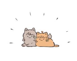:3 ahoge animal_focus animalization ao_kaeru blue_eyes bow braid cat closed_mouth grey_cat hair_bow looking_at_viewer love_live! love_live!_sunshine!! no_humans orange_cat red_eyes side_braid simple_background smile takami_chika watanabe_you white_background yellow_bow
