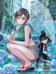 1boy 1girl absurdres amaoto_888 bare_shoulders black_hair boots brown_eyes brown_footwear cait_sith_(final_fantasy) cat_boy closed_mouth commentary_request final_fantasy final_fantasy_vii final_fantasy_vii_rebirth final_fantasy_vii_remake furry furry_male green_sweater grey_shorts height_difference highres holding holding_umbrella lips looking_at_viewer midriff pink_lips rain ribbed_sweater sandals short_hair short_shorts shorts sleeveless sleeveless_sweater smile sweater toes transparent transparent_umbrella turtleneck turtleneck_sweater umbrella yuffie_kisaragi