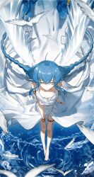 1girl absurdres ahoge bare_arms bare_legs bare_shoulders barefoot bird bird_wings blue_hair bracelet braid braided_twintails breasts breasts_apart chinese_commentary closed_eyes collarbone commentary_request crossed_bangs dress falling_feathers feathers floating_hair full_body gold_armlet gold_bracelet gold_thighlet hair_between_eyes highres jewelry long_hair low_twintails mushoku_tensei ripples roxy_migurdia small_breasts smile solo standing standing_on_liquid thigh_gap twin_braids twintails very_long_hair water white_bird white_dress white_feathers white_wings wings yisjhui