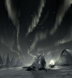 2girls animal_ears arknights arm_support aurora blanket breasts breath camping commentary completely_nude female_focus fire greyscale hair_ornament hairclip highres implied_futanari kneeling lappland_(arknights) light_particles long_hair looking_away medium_breasts meng_ziya monochrome multiple_girls night nude nudist outdoors pointing pointing_up river scar scar_across_eye scar_on_face sitting sky star_(sky) starry_sky symbol-only_commentary tail tent texas_(arknights) tree wide_shot wolf_ears wolf_tail yuri