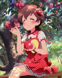 1girl ahoge annindoufu_(oicon) apple apple_hair_ornament apple_tree back_bow bead_bracelet beads bench blue_sky bow bowl bracelet brown_hair closed_eyes closed_mouth cloud collar collared_shirt day dress feet_out_of_frame food food-themed_hair_ornament frilled_dress frills fruit gleam grass hair_ornament holding holding_bowl holding_spoon idolmaster idolmaster_million_live! idolmaster_million_live!_theater_days jewelry kinoshita_hinata light_blush official_art polka_dot polka_dot_bow polka_dot_dress puffy_short_sleeves puffy_sleeves red_bow red_collar red_dress shirt short_dress short_hair short_sleeves sitting sky smile solo spoon suspenders tree white_shirt