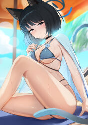 1girl absurdres animal_ear_fluff animal_ears backlighting bikini black_choker black_eyes black_hair blue_archive blue_bikini blue_halo blush breasts bright_pupils cat_ears cat_girl cat_tail choker closed_mouth commentary day feet_out_of_frame hair_between_eyes halo highres kikyou_(blue_archive) kikyou_(swimsuit)_(blue_archive) knee_up kuromiz lens_flare looking_at_viewer medium_breasts multiple_tails official_alternate_costume outdoors short_hair sitting skindentation solo split_mouth straight_hair sweat swimsuit tail thighs tsurime two_tails underboob white_pupils