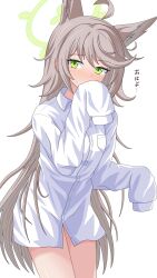 1girl absurdres ahoge alternate_costume animal_ears blue_archive blush collared_shirt covering_own_mouth embarrassed fox_ears fox_girl green_halo halo highres looking_at_viewer naked_shirt otogi_(blue_archive) shirt sleeves_past_fingers sleeves_past_wrists solo white_shirt youjinbou_(lizardman730)