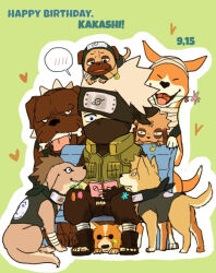 Rule 34 | 1boy, akino (naruto), bisuke (naruto), book, bull (naruto), dog, grey hair, guruko (naruto), happy birthday, hatake kakashi, holding, holding book, icha icha (naruto), long sleeves, male focus, meitarou, naruto (series), pakkun (naruto), pants, shiba (naruto), short hair, spiked hair, urushi (naruto), uuhei (naruto)