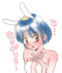 Rule 34 | animal ears, blue hair, blush, brown eyes, rabbit ears, hanamutsuki, lowres, ranma 1/2, short hair, tendou akane