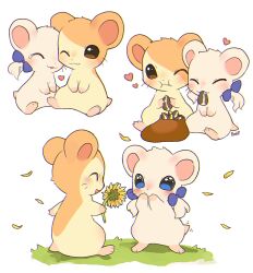 Rule 34 | animal, animal focus, blue eyes, blush, brown eyes, commentary, eating, english commentary, flower, foxlett, hair ribbon, hamster, hamtaro, hamtaro (series), heart, multiple views, no humans, one eye closed, ribbon, ribbon (hamtaro), seed, simple background, sitting, standing, sunflower, sunflower seed, white background, white hair