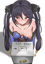 Rule 34 | 1girl, absurdres, averting eyes, bare shoulders, black hair, blue leotard, blush, box, breasts, closed mouth, coin, commentary request, detached sleeves, english text, from above, genshin impact, gold coin, green eyes, hair ribbon, highres, holding, holding box, implied prostitution, leotard, long hair, medium breasts, mona (genshin impact), nipple slip, nipples, no headwear, power of skb, ribbon, simple background, solo, sweat, twintails, very long hair, white background, x-ray