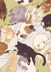 1boy animal animal_on_chest animal_on_lap animal_on_stomach blonde_hair calico casual cat enmto grey_hoodie grey_pants hood hoodie lying male_focus nansen_ichimonji on_back on_floor on_lap pants slit_pupils solo too_many too_many_cats touken_ranbu track_suit