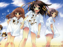 3girls asahina_mikuru blush bottomless cat koizumi_itsuki kyon multiple_girls nagato_yuki official_art shirt suzumiya_haruhi suzumiya_haruhi_no_yuuutsu t-shirt tagme water