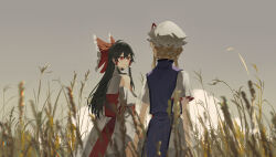 2girls absurdres black_hair blonde_hair blurry blurry_foreground bow closed_mouth cloud detached_sleeves dress facing_away frilled_hair_tubes frills grass grey_sky hair_bow hair_tubes hakurei_reimu hat hat_ribbon highres holding_hands interlocked_fingers long_hair long_sleeves looking_at_another mob_cap multiple_girls outdoors purple_tabard red_bow red_eyes red_ribbon red_shirt red_skirt ribbon shirt short_sleeves sidelocks skirt sky sleeveless sleeveless_shirt tabard tall_grass touhou white_dress white_hat white_sleeves wide_sleeves yakumo_yukari zy_(zyyyyyyy9)