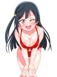 1girl absurdres bikini black_hair breasts cleavage feet_out_of_frame front-tie_bikini_top front-tie_top grey_eyes hands_on_own_thighs highres long_hair looking_at_viewer love_live! love_live!_nijigasaki_high_school_idol_club medium_breasts one_eye_closed one_side_up open_mouth red_bikini round_teeth shinonome_sakura simple_background smile solo swimsuit teeth upper_teeth_only white_background yuki_setsuna