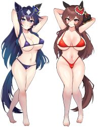 Rule 34 | 2girls, akizuki shigure, alternate costume, alternate hairstyle, animal ears, animal print, areola slip, armpits, arms up, bikini, blue bikini, blue eyes, breasts, brown hair, cleavage, commentary request, covered erect nipples, ear covers, ear ornament, gentildonna (umamusume), grin, hair down, highres, horse ears, horse girl, horse tail, long hair, multiple girls, navel, red bikini, red eyes, smile, stomach, sweat, swimsuit, tail, transparent background, umamusume, verxina (umamusume), very long hair