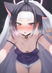 1girl 1other absurdres animal_ears bangs_pinned_back bare_arms bare_shoulders black_choker black_hair blue_archive blush breasts cat_choker cat_ears cat_girl choker cleavage colored_inner_animal_ears colored_inner_hair ear_blush extra_ears girl_on_top highres kazusa_(blue_archive) multicolored_hair open_mouth panties pink_hair pov purple_tank_top steam_from_mouth sweat tank_top two-tone_hair under_covers underwear wendao white_panties