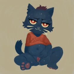absurdres animal_hands belly cat furry highres mae_borowski moitasart night_in_the_woods plump pussy spread_legs sweat thighs