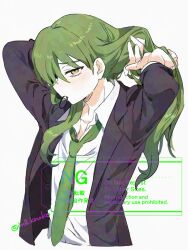 Rule 34 | 1boy, arms behind head, black coat, coat, collared shirt, green eyes, green hair, green necktie, hair between eyes, hair over one eye, hair over shoulder, hair tie in mouth, library of ruina, looking at viewer, male focus, medu (rubish), mouth hold, necktie, netzach (project moon), open clothes, open coat, project moon, shirt, solo, tying hair, upper body, white background, white shirt