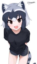 1girl alternate_costume animal_ears araisan707 arms_behind_back black_shirt black_shorts blush brown_eyes casual common_raccoon_(kemono_friends) cowboy_shot dolphin_shorts extra_ears fang grey_hair hair_between_eyes highres kemono_friends leaning_in looking_at_viewer multicolored_hair open_mouth raccoon_ears raccoon_girl raccoon_tail shirt short_shorts short_sleeves shorts sidelocks smile solo t-shirt tail white_hair white_trim