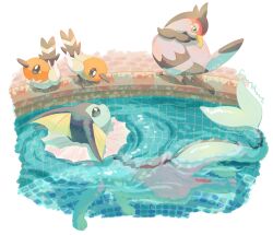 animal_focus beak bird blue_eyes blue_skin border bright_pupils colored_skin commentary fins fletchling forked_tail gen_1_pokemon gen_5_pokemon gen_6_pokemon head_fins highres nintendo no_humans pokemon pokemon_(creature) pool swimming symbol-only_commentary tail talons torinoko_(miiko_draw) tranquill vaporeon water white_border white_pupils
