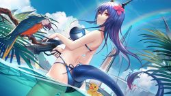 1girl arknights ass back bare_arms bikini bird blue_bikini blue_hair blue_sky breasts ch&#039;en_(arknights) ch&#039;en_the_holungday_(arknights) ch&#039;en_the_holungday_(elite_ii)_(arknights) closed_mouth cloud commentary cowboy_shot day dragon_girl dragon_horns dragon_tail floating_hair flower from_behind gun hair_between_eyes hair_flower hair_ornament halterneck highres holding holding_gun holding_weapon horns kernel_killer large_breasts long_hair looking_at_viewer macaw md5_mismatch multi-strapped_bikini official_alternate_costume palm_leaf parrot pink_flower rainbow red_eyes resolution_mismatch revision rubber_duck sky solo source_larger standing swimsuit tail wading water weapon