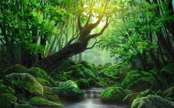 Rule 34 | 1984d, canal, commentary request, forest, moss, nature, no humans, original, outdoors, rock, scenery, tree