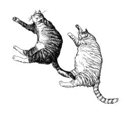 Rule 34 | animal, animal focus, cat, closed eyes, commentary, greyscale, lying, monochrome, multiple cats, no humans, on side, original, pawpads, sat0 manga, simple background, sleeping, striped fur, tabby cat, white background