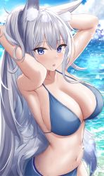 1girl absurdres animal_ears arms_up azur_lane bikini blue_bikini blue_eyes blush breasts cleavage fox_ears fox_girl fox_tail grey_hair highres jyu-so large_breasts long_hair looking_at_viewer outdoors parted_lips shinano_(azur_lane) solo swimsuit tail water wet
