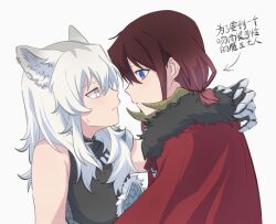 2girls animal_ears black_shirt blue_eyes cape chinese_text clawed_gauntlets closed_mouth commentary dianciguidaopao eye_contact fur-trimmed_cape fur_trim girls_band_cry grey_eyes hashtag-only_commentary highres iseri_nina jewelry kawaragi_momoka long_hair looking_at_another multicolored_hair multiple_girls necklace red_cape red_hair roots_(hair) shirt short_twintails simple_background sleeveless sleeveless_shirt sweatdrop tooth_necklace translation_request twintails upper_body white_background white_hair wolf_ears yuri