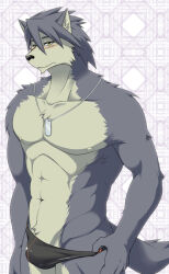 1boy abs animal_ears bara black_male_swimwear blush bulge closed_mouth commentary_request dog_boy dog_ears dog_tags dog_tail furry furry_male ig1119 jewelry kouya_aotsuki looking_at_viewer male_focus male_swimwear male_swimwear_pull morenatsu muscular muscular_male navel necklace nipples pectorals swim_briefs tail