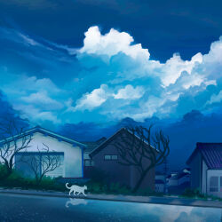 aandulce blue_theme bush cat cloud cloudy_sky highres house original reflection sidewalk sky tagme tree utility_pole window