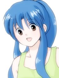 Rule 34 | blue hair, brown eyes, hanamutsuki, long hair, lowres, ranma 1/2, tendou akane