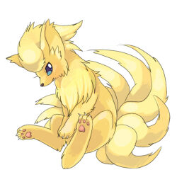 Rule 34 | blue eyes, choko (sweetpocket), commentary request, creature, creature focus, full body, gen 1 pokemon, kitsune, looking to the side, multiple tails, ninetales, nintendo, pawpads, pokemon, pokemon (creature), simple background, sitting, solo, tail, white background, yellow fur