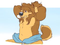1boy animal_ears bad_id bad_twitter_id bara belly bodi_(rock_dog) brown_fur dog_boy dog_ears dog_nose dog_tail eclipticafusion floppy_ears furry furry_male hair_brush long_hair looking_to_the_side male_focus navel nipples pectorals rock_dog sitting tail topless_male tying_hair