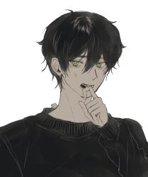 1boy andrew_graves biting_own_finger black_hair black_sweater bright_pupils green_eyes highres looking_at_viewer portrait qqpqpi short_hair simple_background solo sweater the_coffin_of_andy_and_leyley upper_body white_background white_pupils