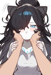 1girl animal_ear_fluff animal_ears black_hair blue_eyes blush breasts cat_ears commentary dark_kasli_(nyanko_daisensou) ebora english_commentary grey_shirt hair_over_one_eye hands_on_another&#039;s_cheeks hands_on_another&#039;s_face highres holding_another&#039;s_wrist long_hair looking_at_viewer motion_lines nyanko_daisensou ponytail pout pov pov_hands shirt short_sleeves small_breasts squeezing_cheeks