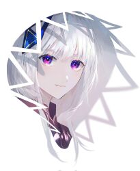 1girl bad_id bad_twitter_id blending blue_eyes cevio closed_mouth highres hood hood_up kafu_(cevio) karanagare looking_at_viewer portrait simple_background solo white_background white_hair