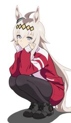 1girl absurdres ahoge animal_ears black_pantyhose black_shoes blue_eyes ear_ornament elbows_on_knees grey_hair gym_shorts hair_ornament head_rest highres horse_ears horse_girl horse_tail jacket kiyosuke_(kiyosuke023) long_hair long_sleeves looking_at_viewer oguri_cap_(umamusume) pantyhose pantyhose_under_shorts red_jacket red_shorts shadow shoes shorts simple_background solo squatting tail tracen_training_uniform track_jacket umamusume umamusume:_cinderella_gray white_background