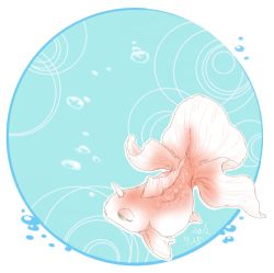10s 2012 artist_request creatures_(company) game_freak gen_1_pokemon goldeen lowres nintendo no_humans pokemon pokemon_(creature) solo