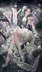 1girl bird black_hair braid clock commentary_request dove dress english_text flower full_body hair_flower hair_ornament highres long_hair looking_at_viewer original rose sitting solo tolu_ya white_dress white_flower white_rose