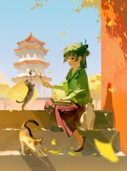 1girl architecture bandaged_arm bandages beads blue_eyes blue_sky blunt_bangs blurry blurry_foreground book cat chinese_clothes east_asian_architecture falling_leaves ginkgo_leaf green_hair green_hanfu hair_beads hair_ornament hair_ribbon half_updo hanfu highres holding holding_book holding_plant kusuriya_no_hitorigoto leaf long_sleeves looking_at_animal maomao_(kusuriya_no_hitorigoto) outdoors plant requiem_(requiem_art) ribbon sitting sitting_on_stairs sky smile solo stairs