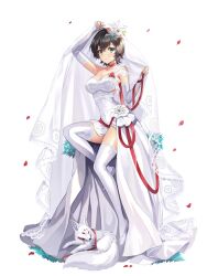 1girl 1other akari_onikage animal_ears aqua_eyes artist_request bare_shoulders black_hair choker collarbone dress elbow_gloves final_gear flower fox fox_ears fox_tail full_body gloves grass hair_flower hair_ornament highres holding_veil lace-trimmed_veil lace_trim looking_at_viewer official_art red_choker red_flower red_petals see-through_clothes see-through_veil simple_background sitting solo strapless strapless_dress tachi-e tail thighhighs third-party_source transparent_background veil wedding_dress white_dress white_flower white_footwear white_fur white_gloves white_thighhighs white_veil