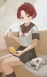 1girl ayanami_(kancolle) ayanami_kai_ni_(kancolle) black_sailor_collar black_skirt black_socks box brown_eyes brown_hair brown_neckerchief chew_toy commentary_request couch dog feet_out_of_frame highres kantai_collection neckerchief pleated_skirt ponytail pug sailor_collar school_uniform serafuku shikinami_(kancolle) shikinami_kai_ni_(kancolle) short_hair sitting skirt socks yuu+