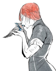 Rule 34 | agatemano, bird, commander shepard, commander shepard (female), garrus vakarian, mass effect (series), nuzzle, tumblr, white background